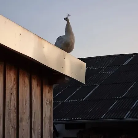 Grosse Ferienwohnung Inmitten Der Von Bodefeld * Schmallenberg